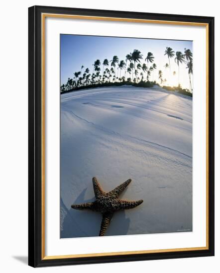 Beach at Zanzibar, Tanzania-Peter Adams-Framed Photographic Print