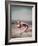 Beach Ball Girl, Woof-Charles Woof-Framed Photographic Print