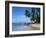 Beach, Barbados, West Indies, Caribbean, Central America-Harding Robert-Framed Photographic Print