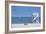 Beach Bike 3-Zhen-Huan Lu-Framed Giclee Print