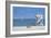 Beach Bike 3-Zhen-Huan Lu-Framed Giclee Print