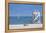 Beach Bike 3-Zhen-Huan Lu-Framed Premier Image Canvas