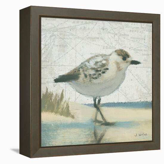 Beach Bird I-James Wiens-Framed Stretched Canvas