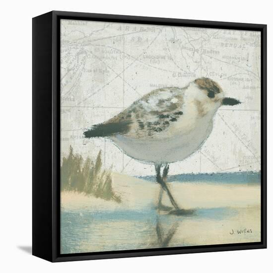 Beach Bird I-James Wiens-Framed Stretched Canvas