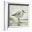 Beach Bird I-James Wiens-Framed Art Print