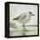 Beach Bird I-James Wiens-Framed Stretched Canvas