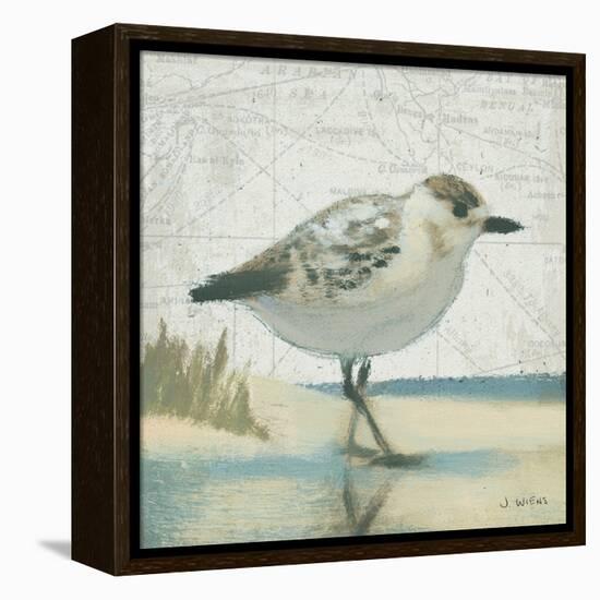 Beach Bird I-James Wiens-Framed Stretched Canvas