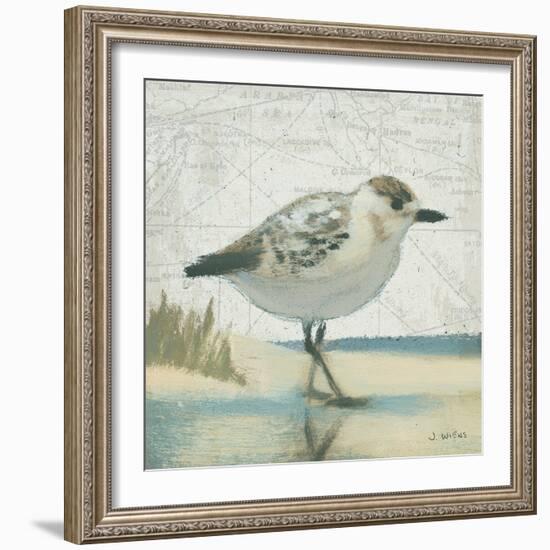 Beach Bird I-James Wiens-Framed Art Print