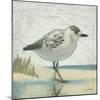 Beach Bird I-James Wiens-Mounted Art Print