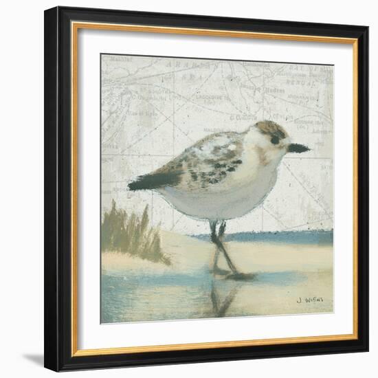 Beach Bird I-James Wiens-Framed Art Print