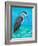 Beach Bird I-Julie DeRice-Framed Art Print