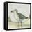 Beach Bird II-James Wiens-Framed Stretched Canvas