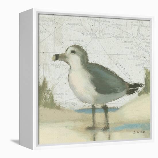 Beach Bird II-James Wiens-Framed Stretched Canvas