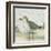 Beach Bird II-James Wiens-Framed Art Print