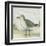 Beach Bird II-James Wiens-Framed Art Print