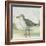 Beach Bird II-James Wiens-Framed Art Print