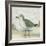 Beach Bird II-James Wiens-Framed Art Print