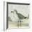 Beach Bird II-James Wiens-Framed Art Print