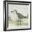 Beach Bird II-James Wiens-Framed Art Print