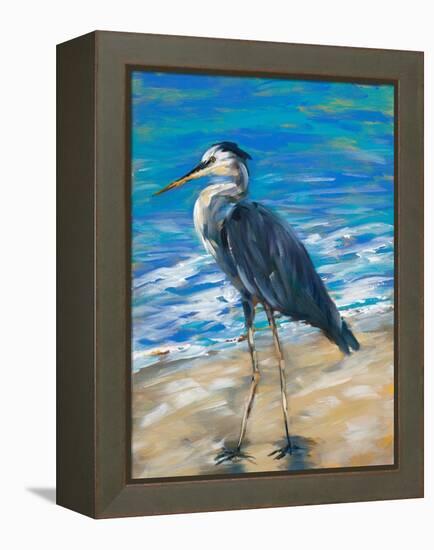 Beach Bird II-Julie DeRice-Framed Stretched Canvas