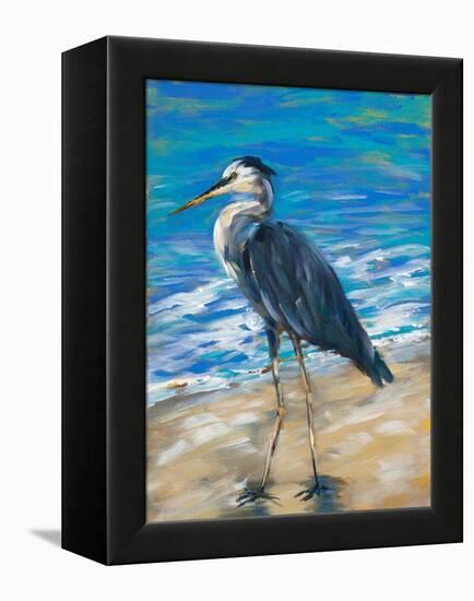 Beach Bird II-Julie DeRice-Framed Stretched Canvas