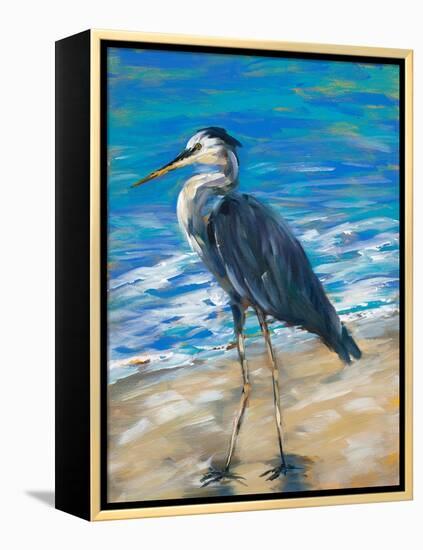 Beach Bird II-Julie DeRice-Framed Stretched Canvas