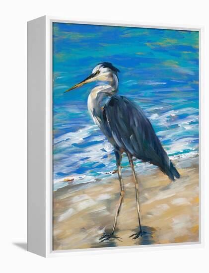 Beach Bird II-Julie DeRice-Framed Stretched Canvas