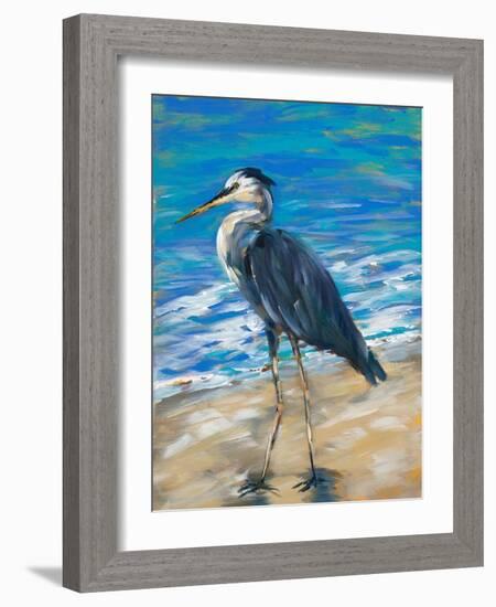 Beach Bird II-Julie DeRice-Framed Art Print