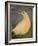 Beach Bird Sans Tail-Tim Nyberg-Framed Giclee Print