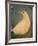 Beach Bird Sans Tail-Tim Nyberg-Framed Giclee Print