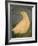 Beach Bird Sans Tail-Tim Nyberg-Framed Giclee Print