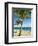 Beach, Bonaire, Netherlands Antilles, West Indies, Caribbean, Central America-Michael DeFreitas-Framed Photographic Print