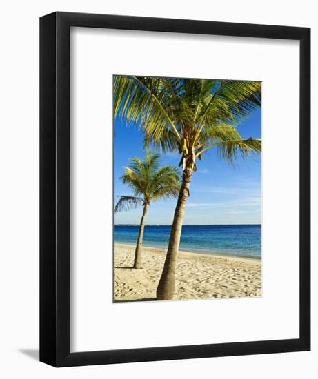 Beach, Bonaire, Netherlands Antilles, West Indies, Caribbean, Central America-Michael DeFreitas-Framed Photographic Print