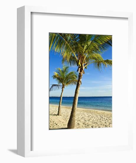 Beach, Bonaire, Netherlands Antilles, West Indies, Caribbean, Central America-Michael DeFreitas-Framed Photographic Print