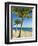 Beach, Bonaire, Netherlands Antilles, West Indies, Caribbean, Central America-Michael DeFreitas-Framed Photographic Print