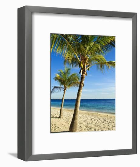 Beach, Bonaire, Netherlands Antilles, West Indies, Caribbean, Central America-Michael DeFreitas-Framed Photographic Print