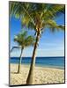 Beach, Bonaire, Netherlands Antilles, West Indies, Caribbean, Central America-Michael DeFreitas-Mounted Photographic Print