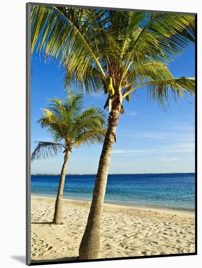 Beach, Bonaire, Netherlands Antilles, West Indies, Caribbean, Central America-Michael DeFreitas-Mounted Photographic Print