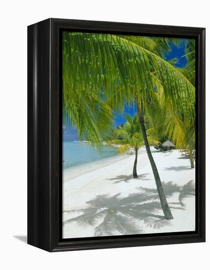 Beach, Bora Bora (Borabora), Society Islands, French Polynesia, South Pacific Islands, Pacific-Sylvain Grandadam-Framed Premier Image Canvas