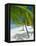 Beach, Bora Bora (Borabora), Society Islands, French Polynesia, South Pacific Islands, Pacific-Sylvain Grandadam-Framed Premier Image Canvas