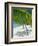 Beach, Bora Bora (Borabora), Society Islands, French Polynesia, South Pacific Islands, Pacific-Sylvain Grandadam-Framed Photographic Print