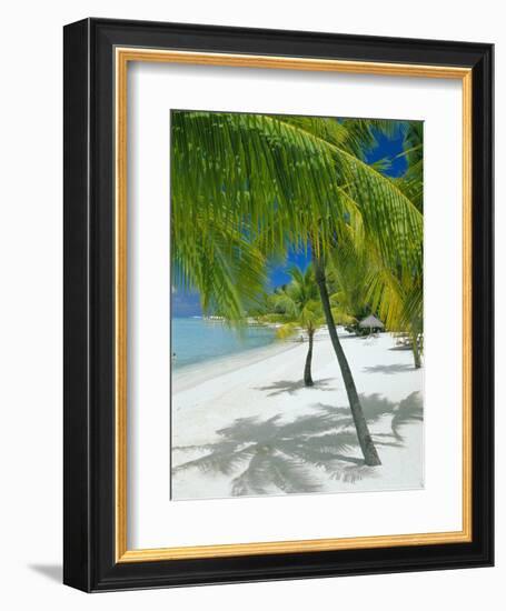 Beach, Bora Bora (Borabora), Society Islands, French Polynesia, South Pacific Islands, Pacific-Sylvain Grandadam-Framed Photographic Print