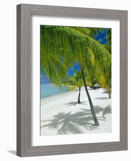 Beach, Bora Bora (Borabora), Society Islands, French Polynesia, South Pacific Islands, Pacific-Sylvain Grandadam-Framed Photographic Print