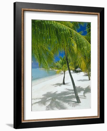 Beach, Bora Bora (Borabora), Society Islands, French Polynesia, South Pacific Islands, Pacific-Sylvain Grandadam-Framed Photographic Print