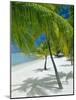 Beach, Bora Bora (Borabora), Society Islands, French Polynesia, South Pacific Islands, Pacific-Sylvain Grandadam-Mounted Photographic Print