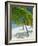 Beach, Bora Bora (Borabora), Society Islands, French Polynesia, South Pacific Islands, Pacific-Sylvain Grandadam-Framed Photographic Print