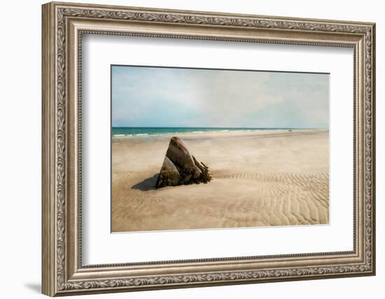 Beach Boulder-Brooke T. Ryan-Framed Photographic Print