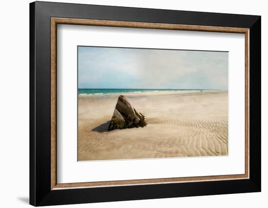 Beach Boulder-Brooke T. Ryan-Framed Photographic Print