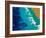 Beach Bound-Ajoya Grace-Framed Art Print