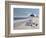 Beach Bum-Zhen-Huan Lu-Framed Giclee Print